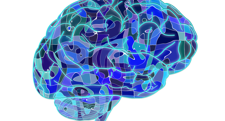 Creative illustration of the brain
